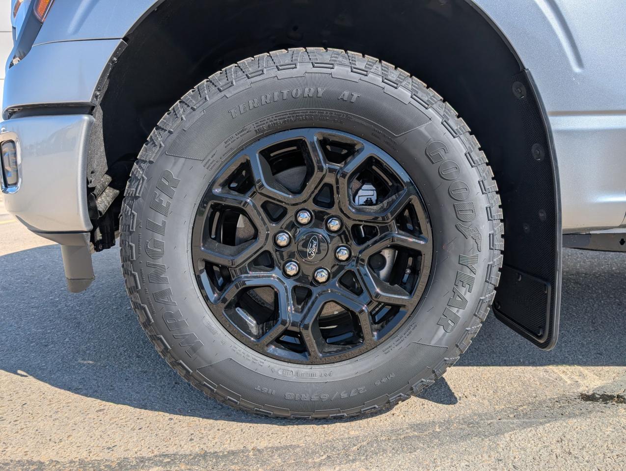 2025 Ford F-150 STX Photo5