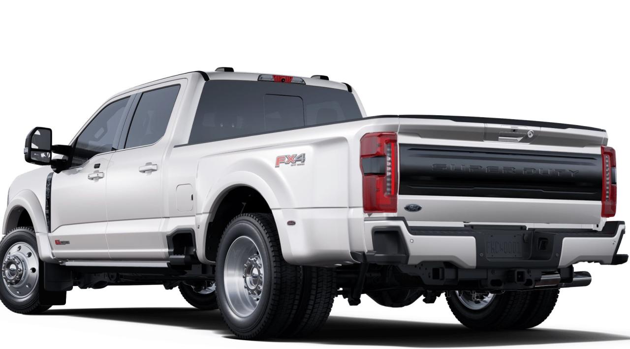 2025 Ford F-450 Super Duty DRW Platinum Photo1