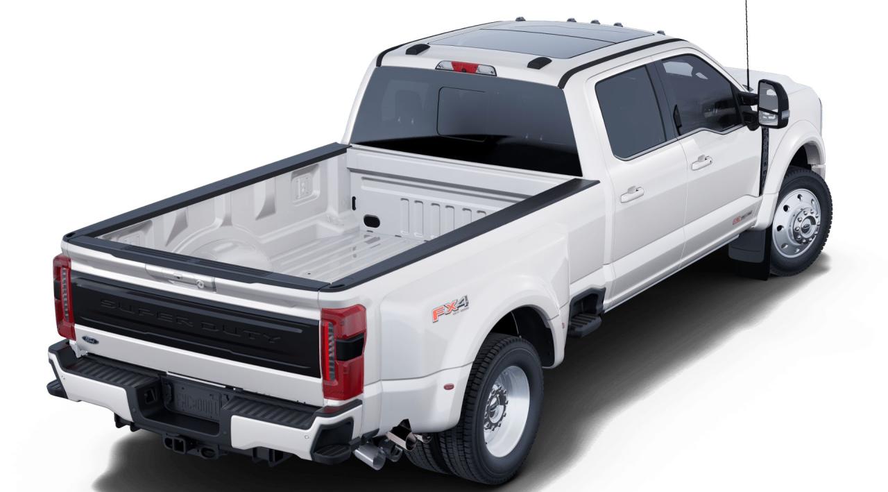 2025 Ford F-450 Super Duty DRW Platinum Photo2