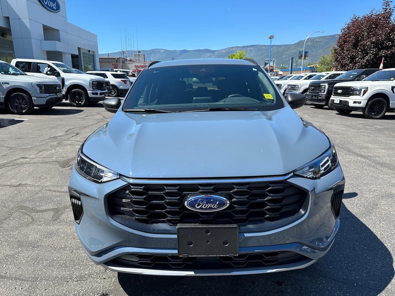 2024 Ford Escape ST-Line Photo1