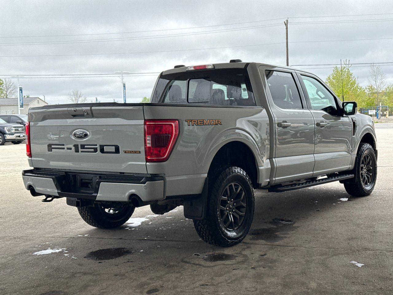 2023 Ford F-150 Tremor - Photo #7