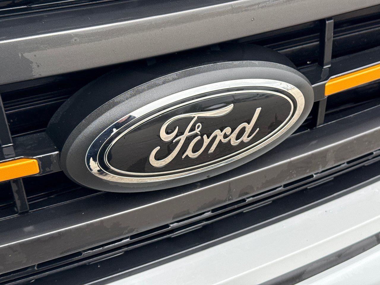 2023 Ford F-150 Tremor - Photo #10