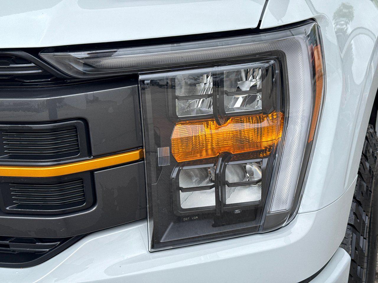 2023 Ford F-150 Tremor - Photo #11