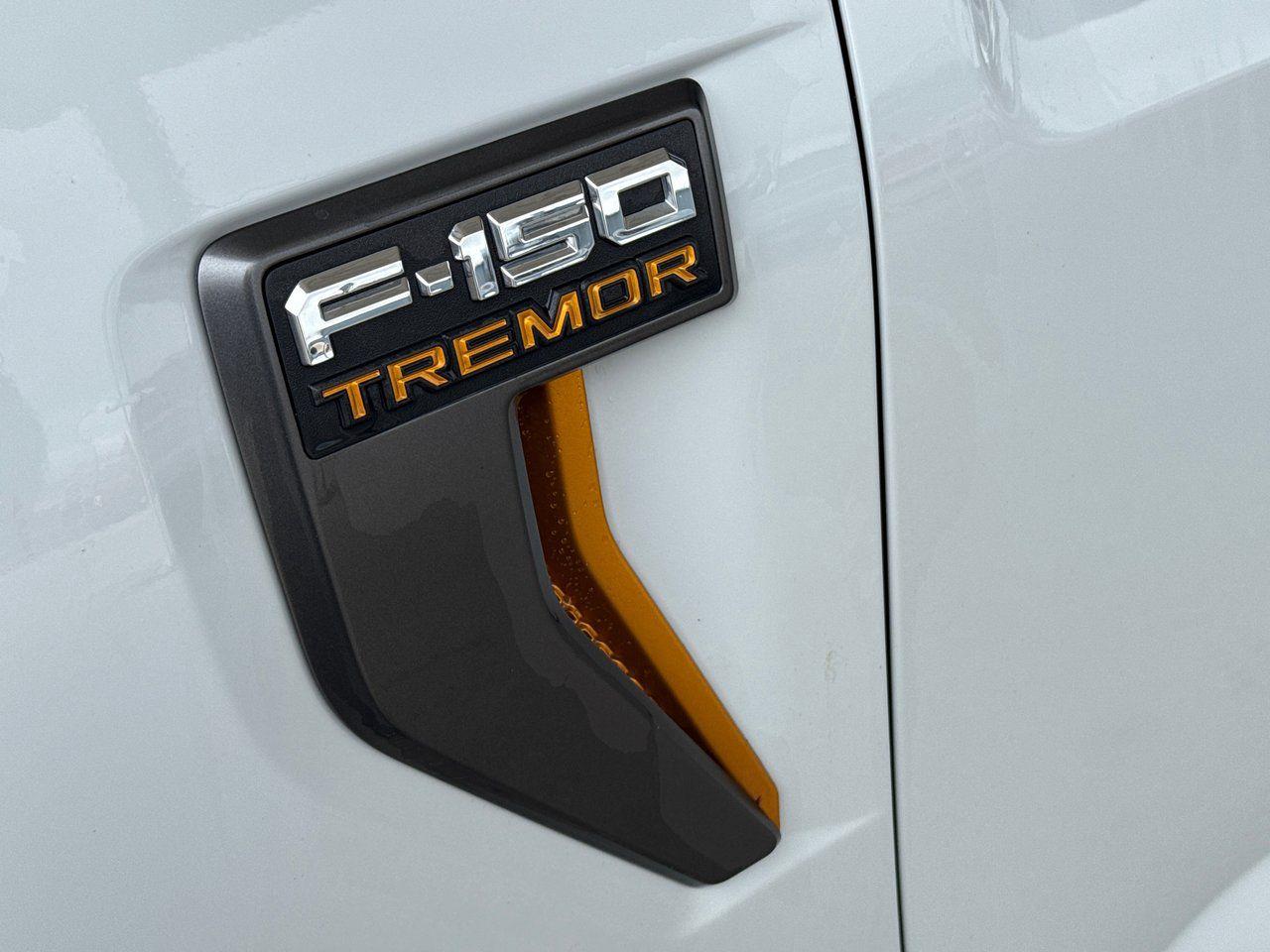 2023 Ford F-150 Tremor - Photo #12