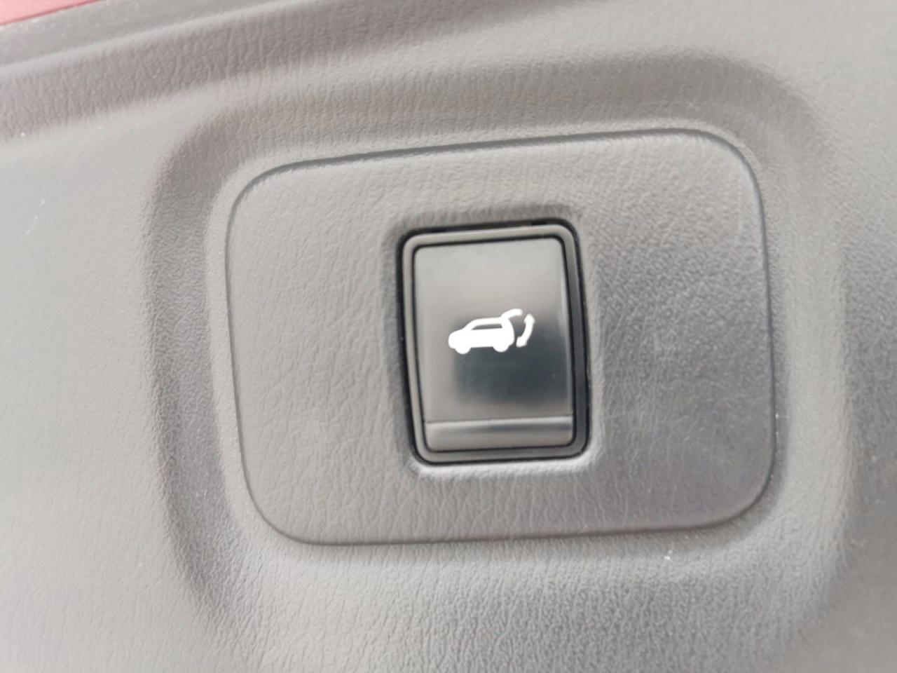 12533254