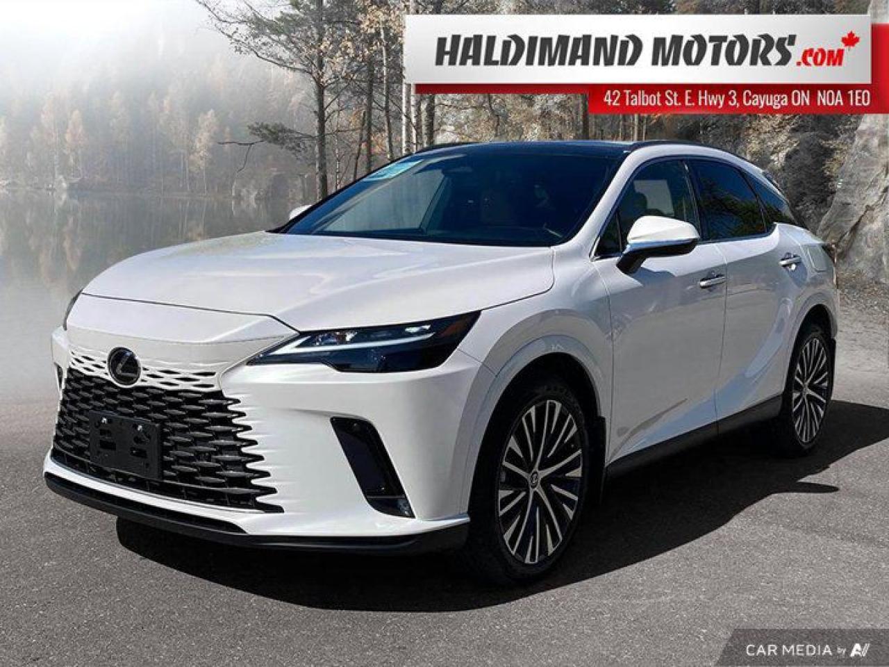 Used 2024 Lexus RX rx 350 for sale in Cayuga, ON