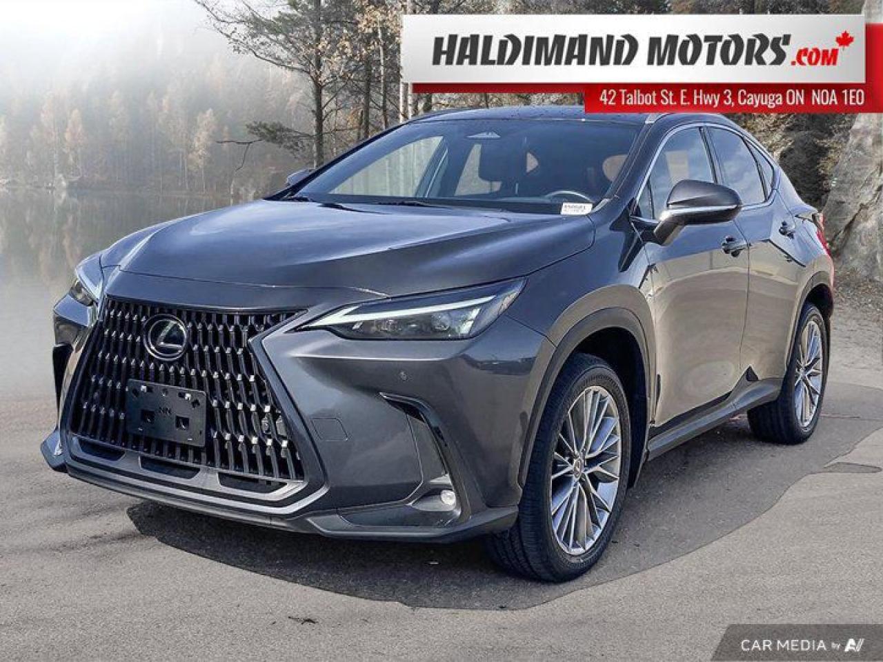 Used 2023 Lexus NX NX 350 for sale in Cayuga, ON
