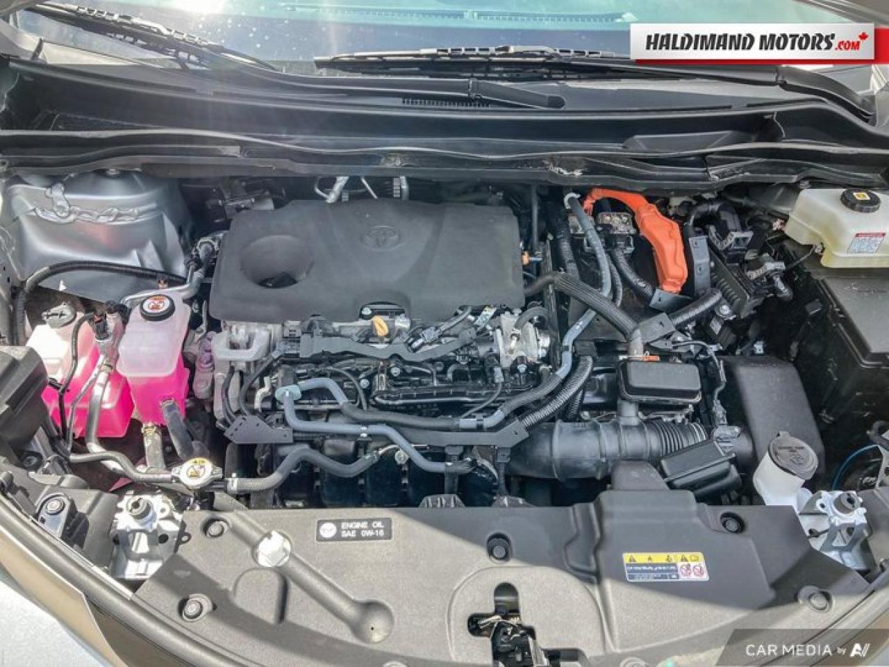 2023 Toyota Sienna Limited AWD Photo