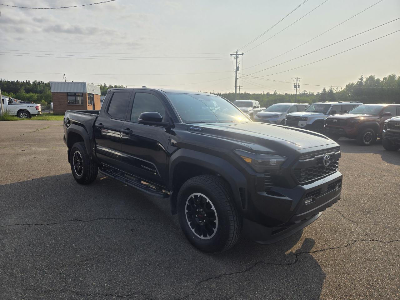 2025 Toyota Tacoma TRD Off Road Premium Photo