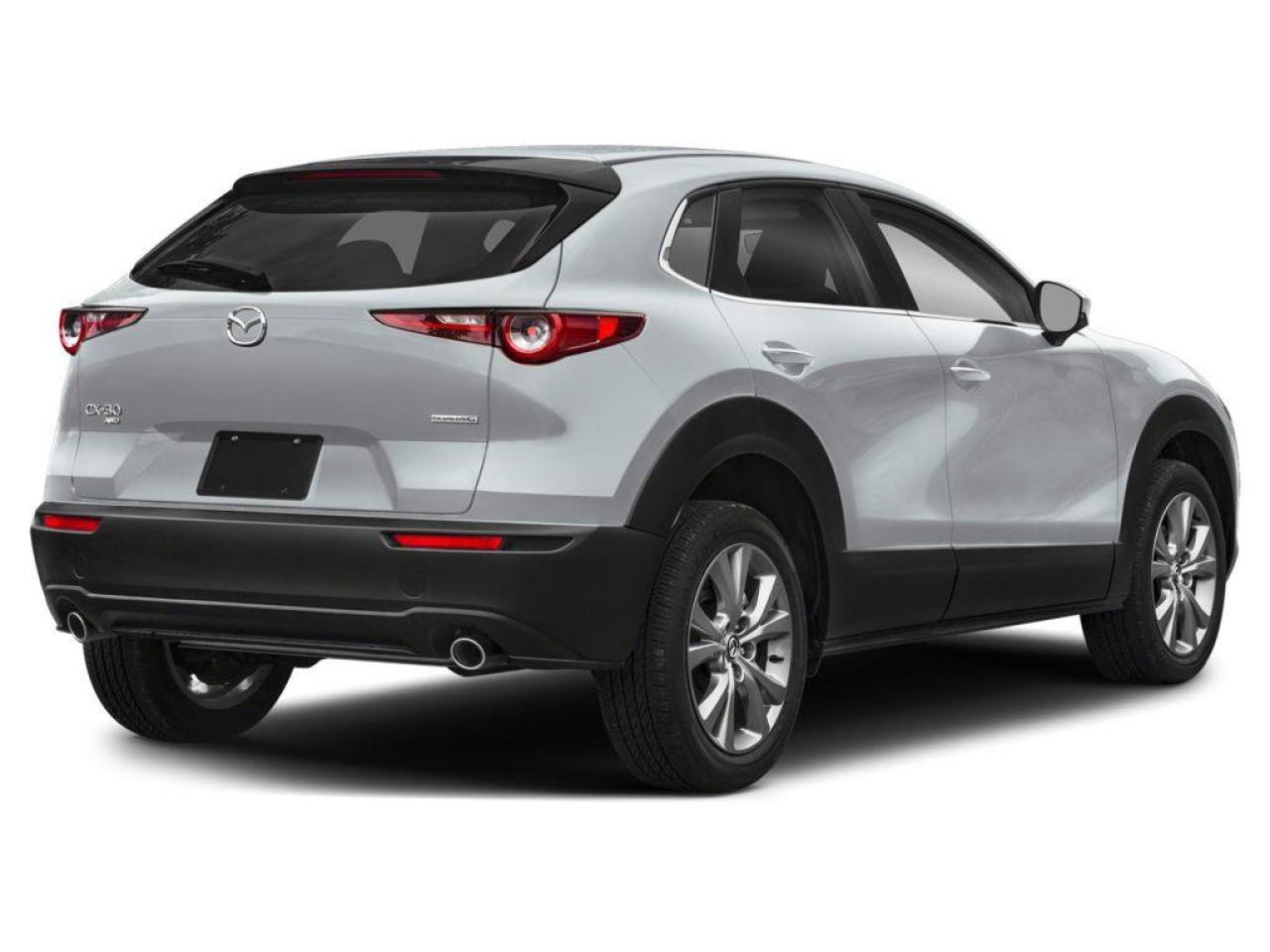 2025 Mazda CX-30 GS Photo2