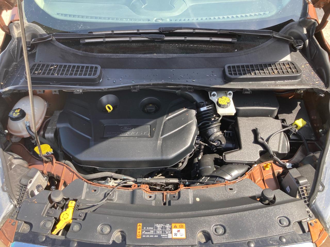 2017 Ford Escape Titanium - Photo #18