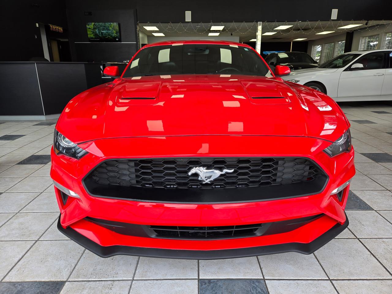 2019 Ford Mustang EcoBoost | ALL CREDIT ACCEPTED!! - Photo #2