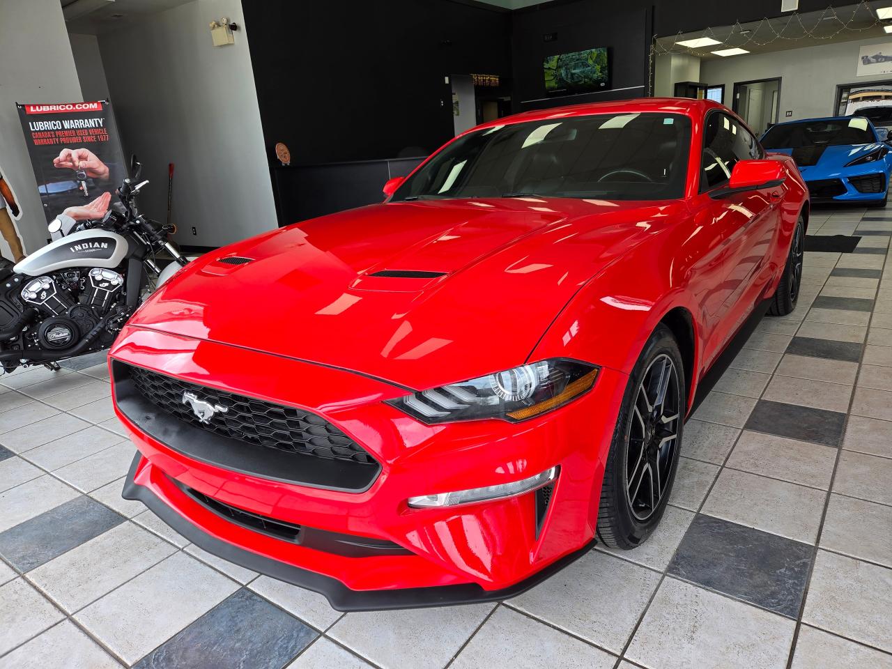 2019 Ford Mustang EcoBoost | ALL CREDIT ACCEPTED!! - Photo #3