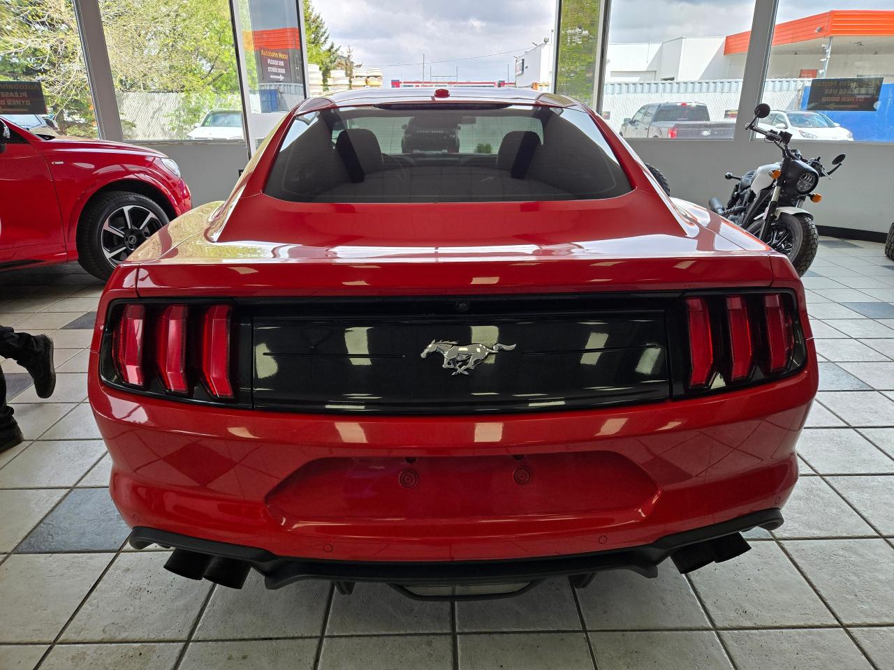 2019 Ford Mustang EcoBoost | ALL CREDIT ACCEPTED!! - Photo #6