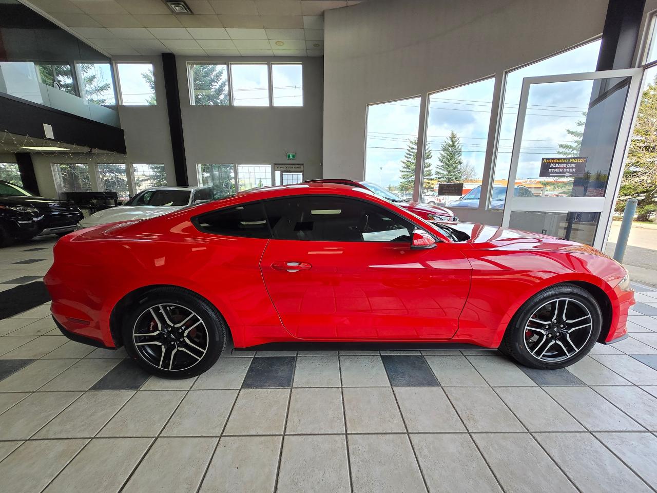 2019 Ford Mustang EcoBoost | ALL CREDIT ACCEPTED!! - Photo #8