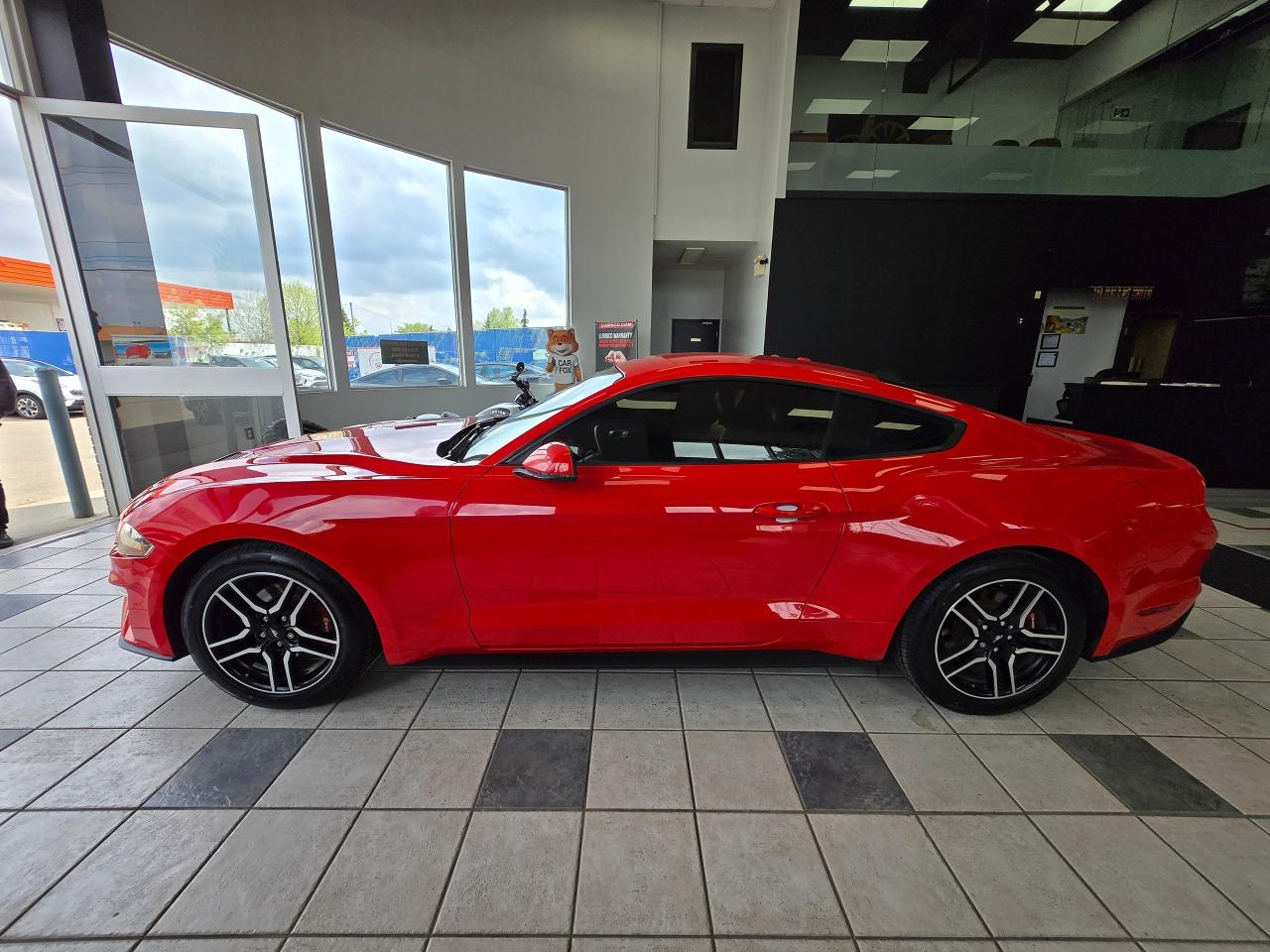 2019 Ford Mustang EcoBoost | ALL CREDIT ACCEPTED!! - Photo #4