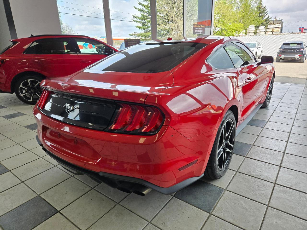 2019 Ford Mustang EcoBoost | ALL CREDIT ACCEPTED!! - Photo #7