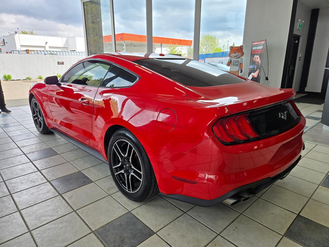 2019 Ford Mustang EcoBoost | ALL CREDIT ACCEPTED!! - Photo #5
