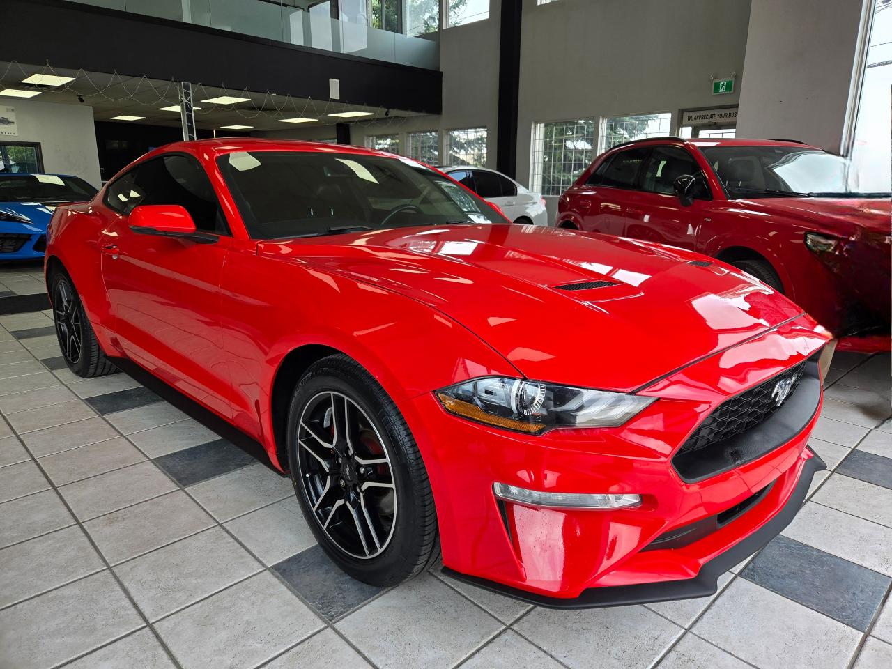Used 2019 Ford Mustang EcoBoost | ALL CREDIT ACCEPTED!! for sale in Calgary, AB