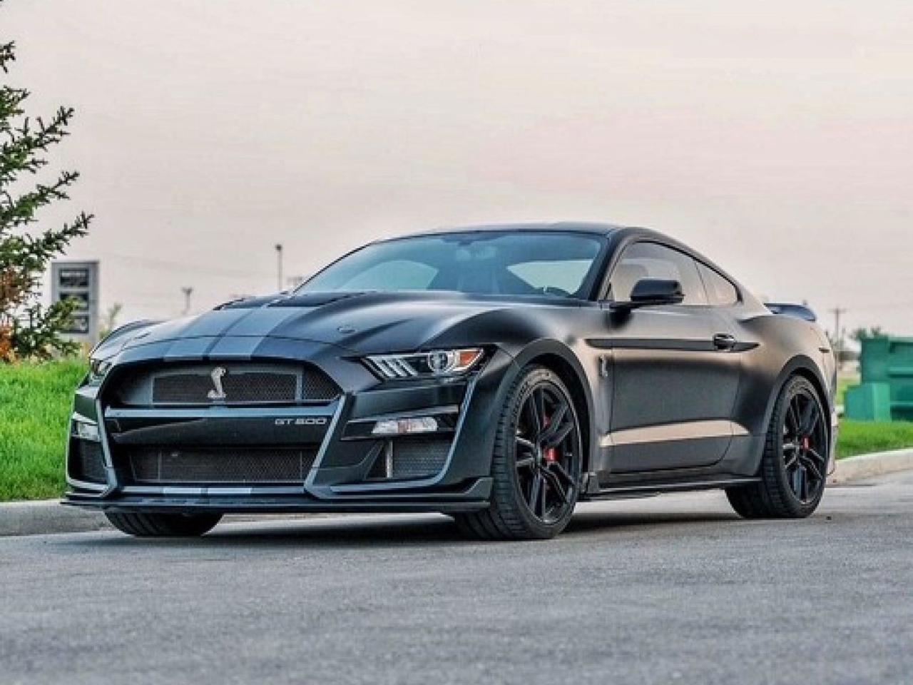 Used 2022 Ford Mustang Shelby GT500 Local Car | One Owner | Accident Free | 5.2L Supercharged V8 for sale in Winnipeg, MB