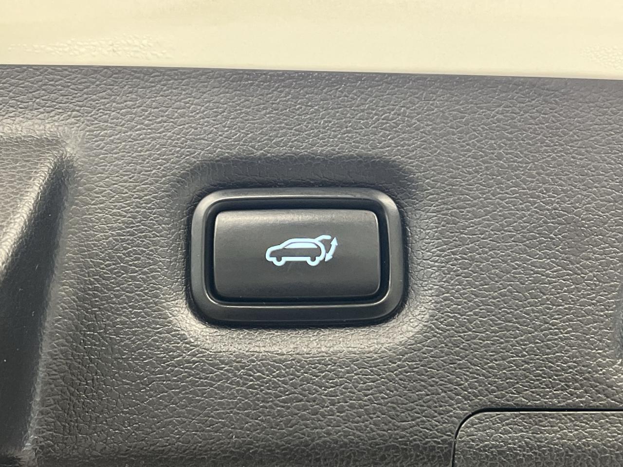 2023 Hyundai Santa Fe Hybrid LUXURY AWD|LEATHER|PANO ROOF|COOLED SEATS Photo