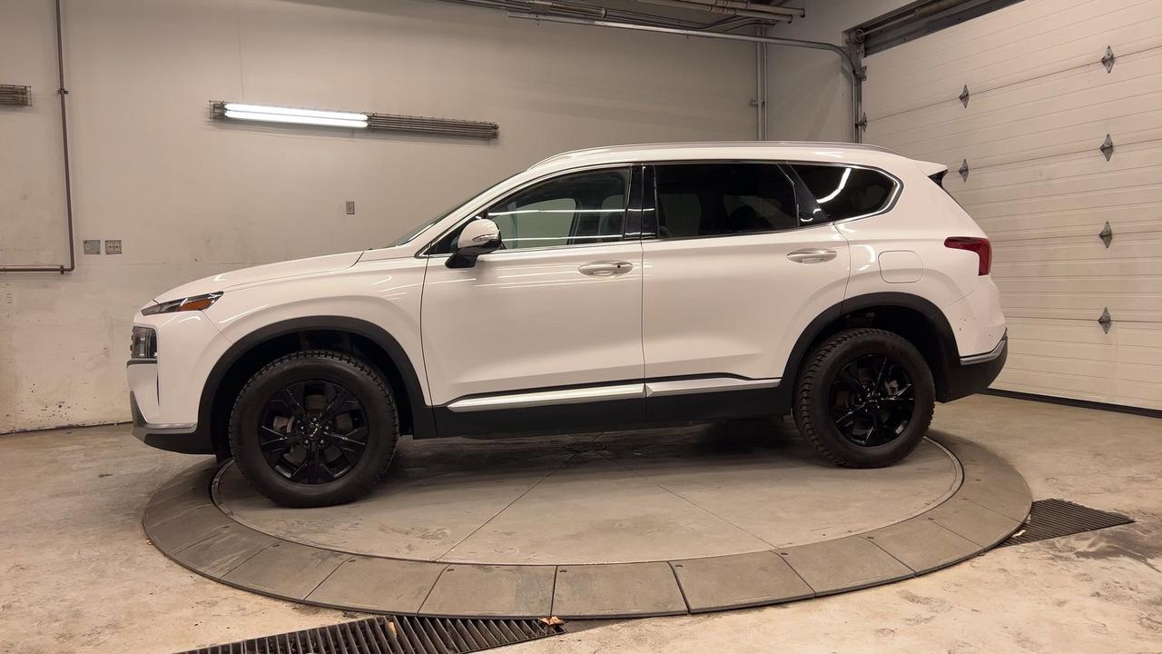 2023 Hyundai Santa Fe Hybrid LUXURY AWD|LEATHER|PANO ROOF|COOLED SEATS Photo4