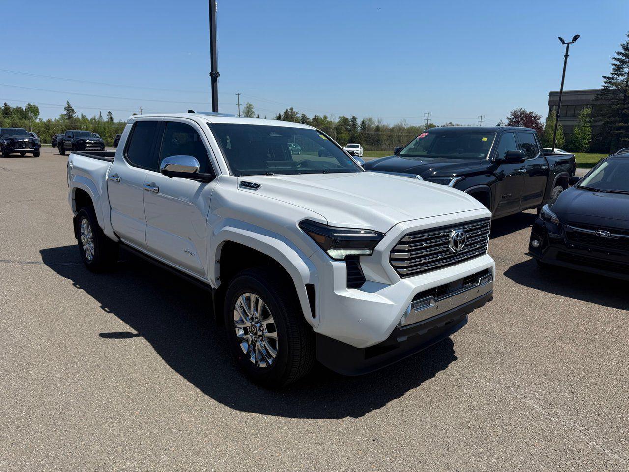 2025 Toyota Tacoma Hybrid Limited Photo