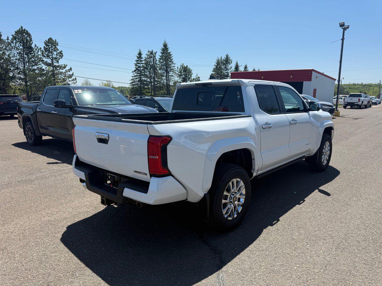 2025 Toyota Tacoma Hybrid Limited Photo4