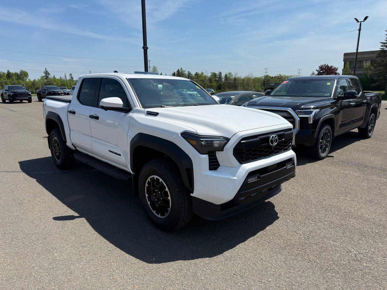 2025 Toyota Tacoma HYBRID TRD Off Road Premium Photo2