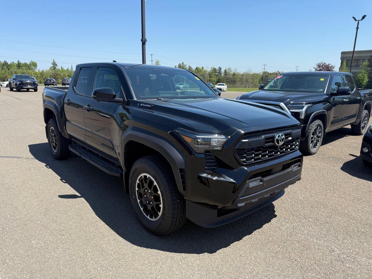 2025 Toyota Tacoma HYBRID TRD Off Road Premium Photo2