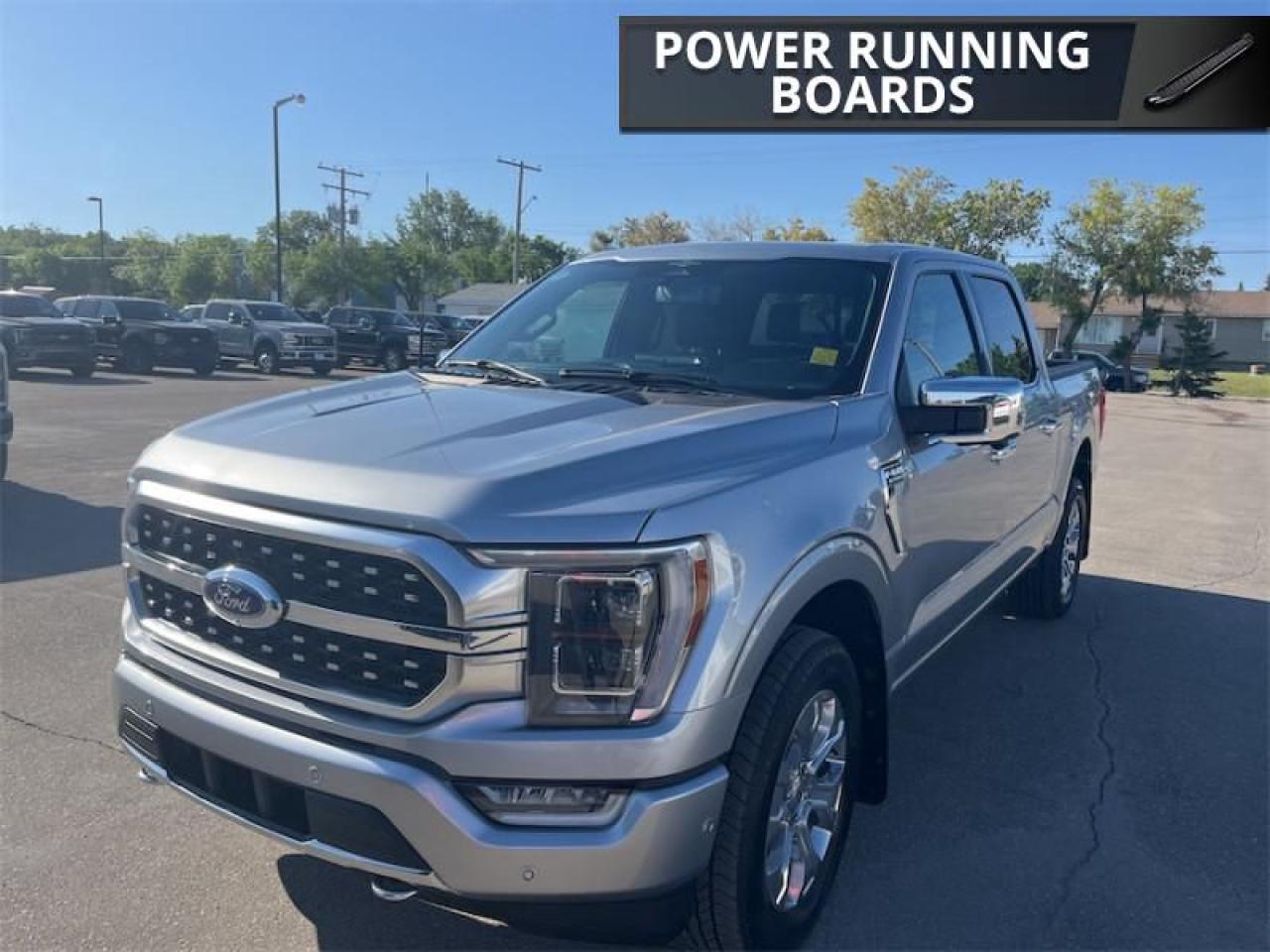 2023 Ford F-150 Platinum  - 4X4 Photo5