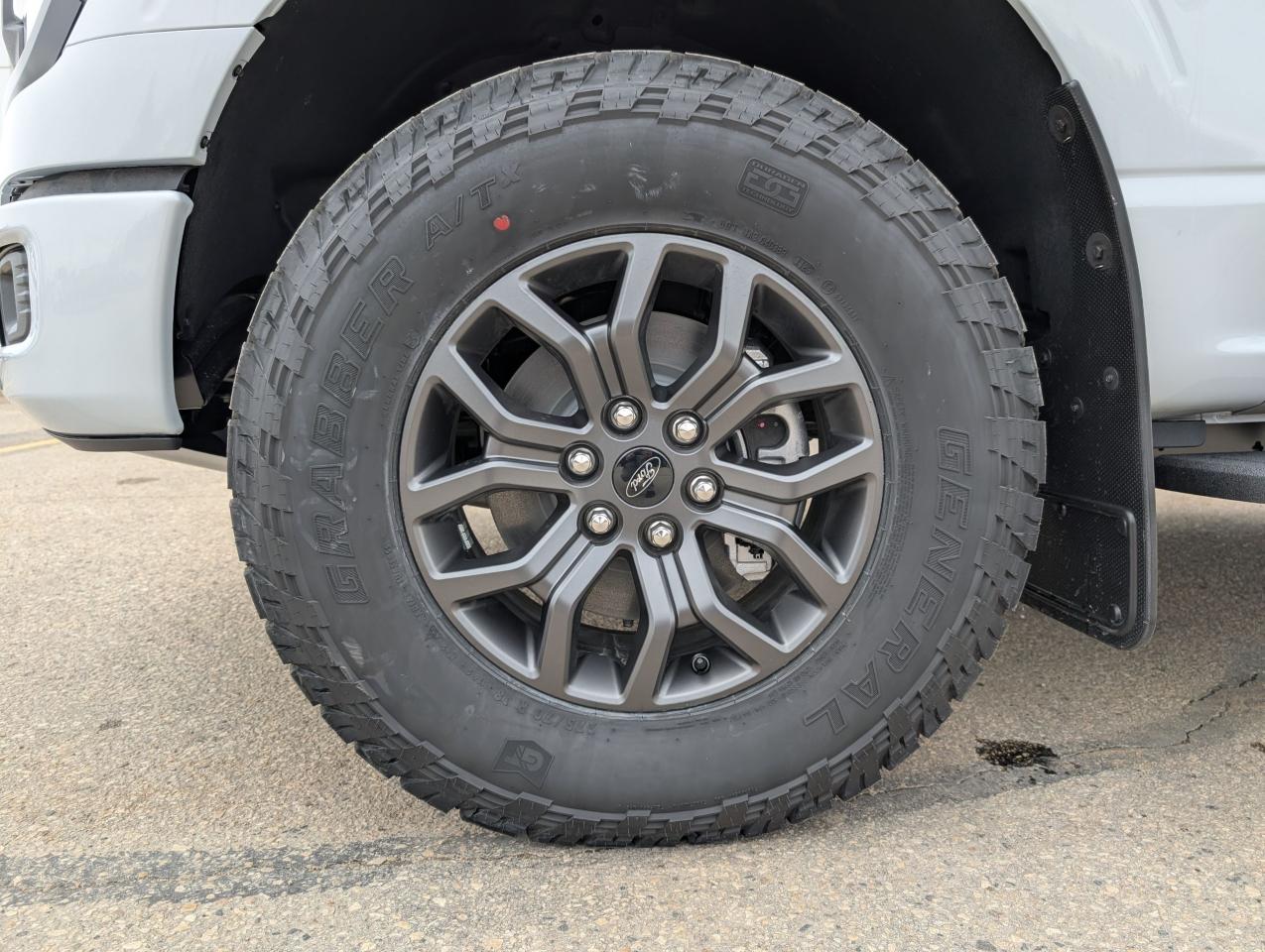 2025 Ford F-150 Tremor Photo5