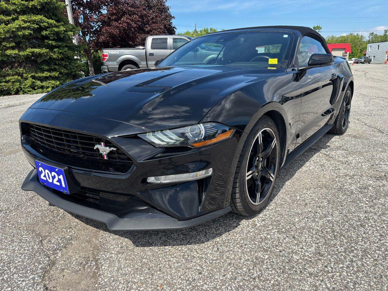 Used 2021 Ford Mustang GT Premium for sale in Essex, ON