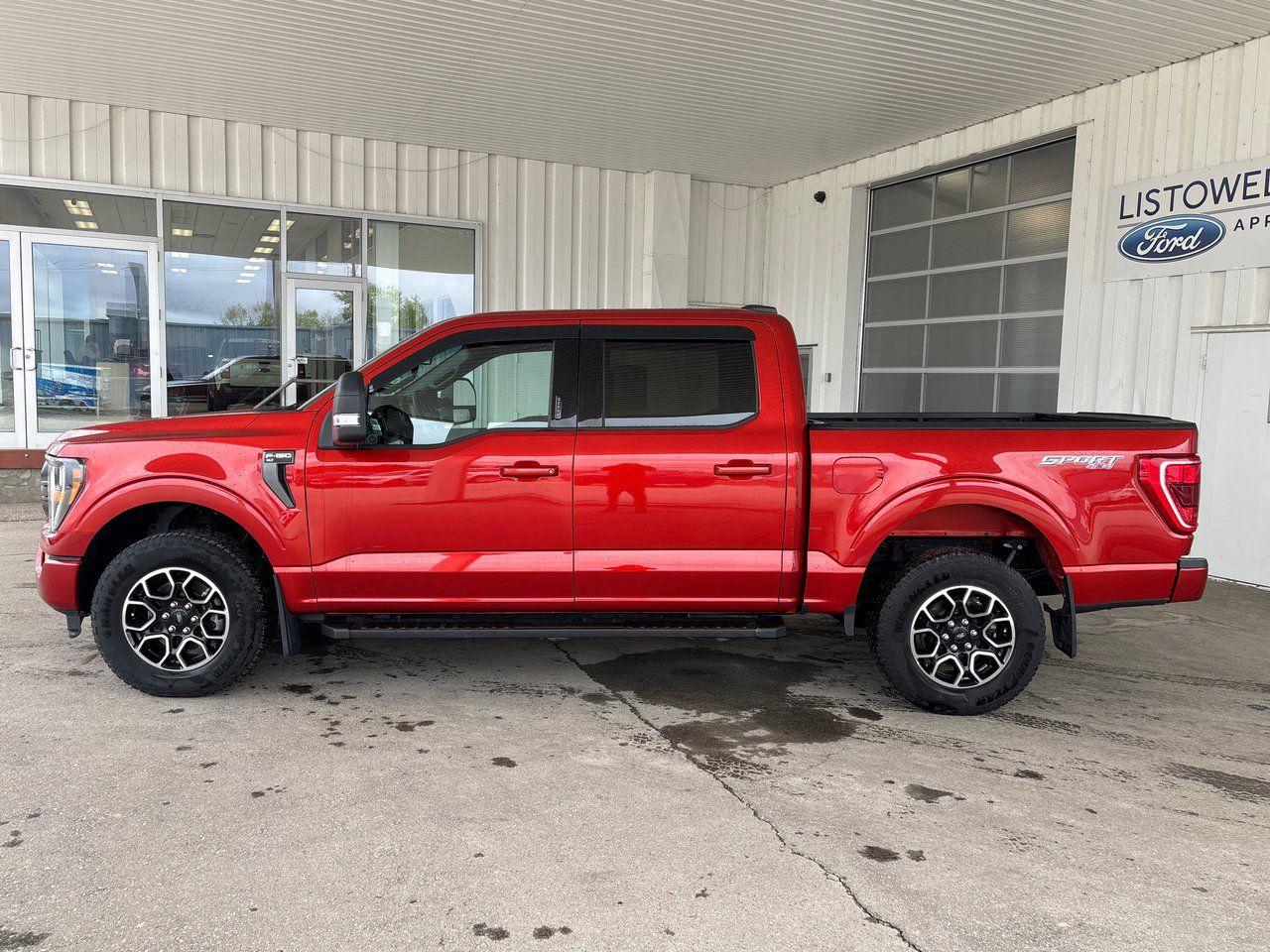 2023 Ford F-150 XLT - Photo #6