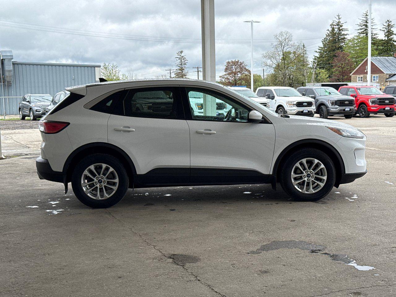 2020 Ford Escape SE - Photo #8
