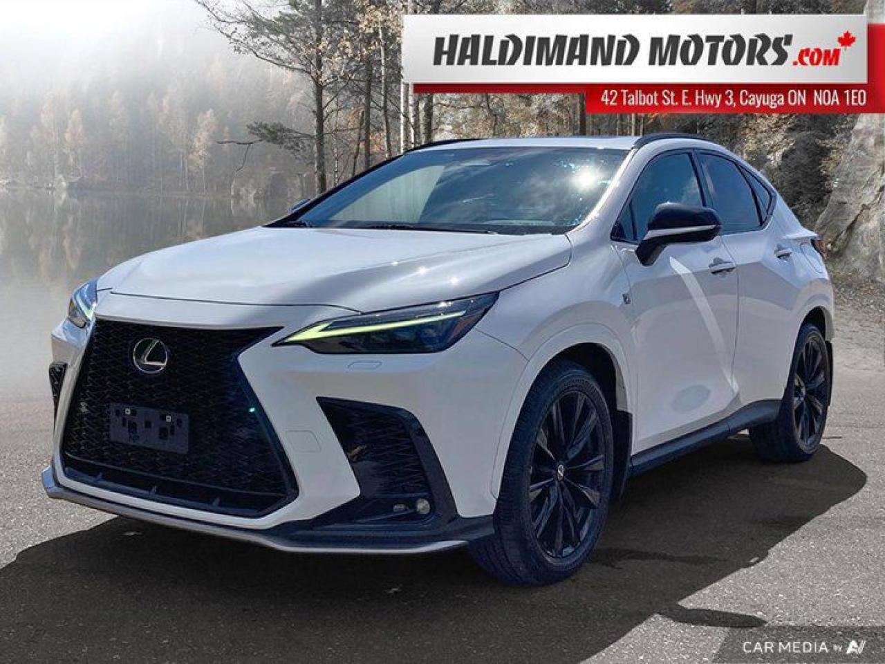 Used 2023 Lexus NX NX 350 for sale in Cayuga, ON