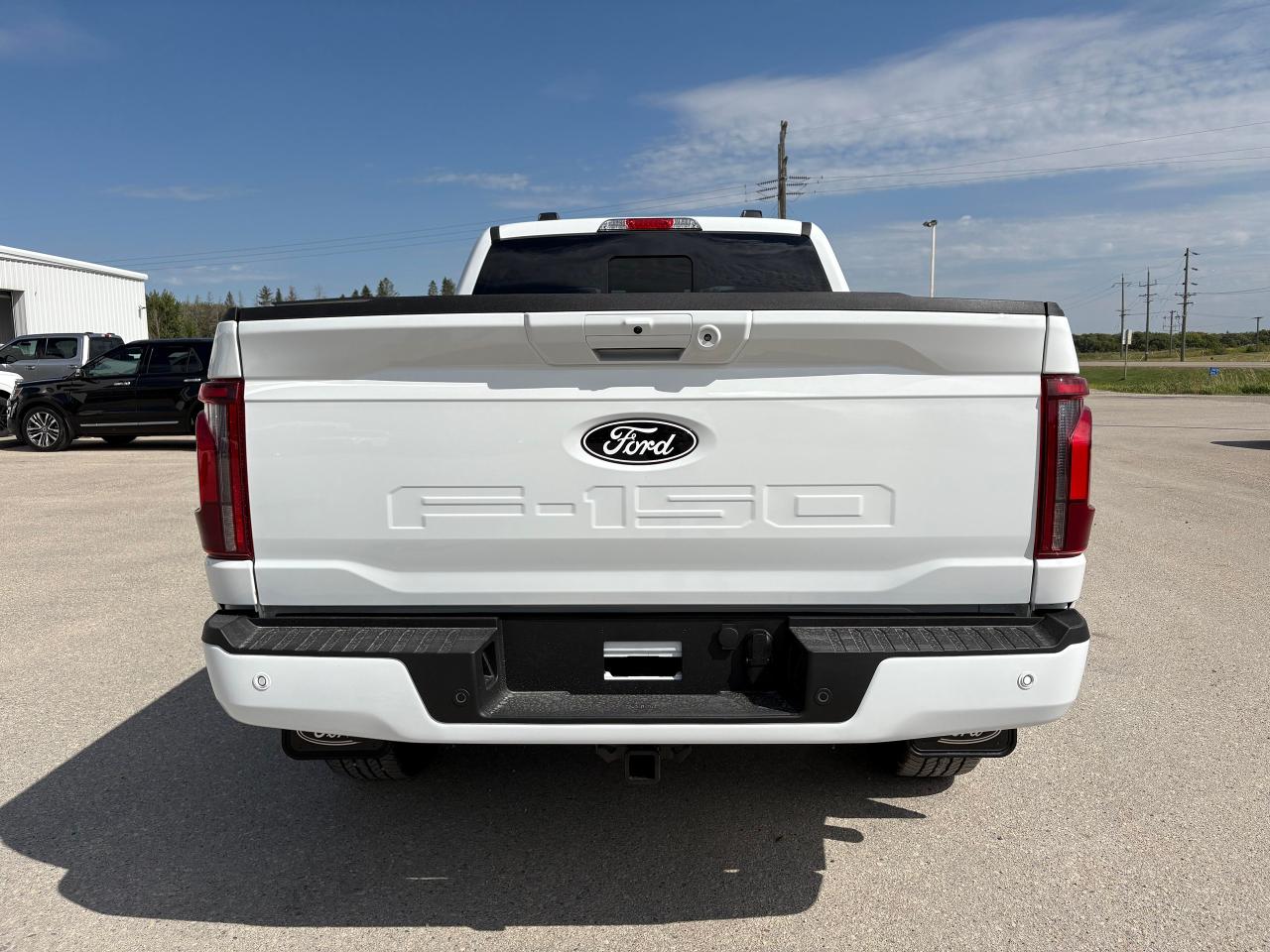 2025 Ford F-150 Lariat 4WD SuperCrew 6.5' Box Photo5