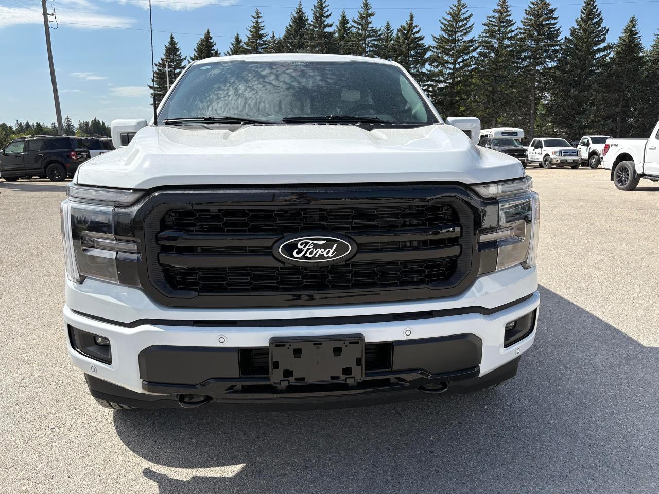2025 Ford F-150 Lariat 4WD SuperCrew 6.5' Box Photo5