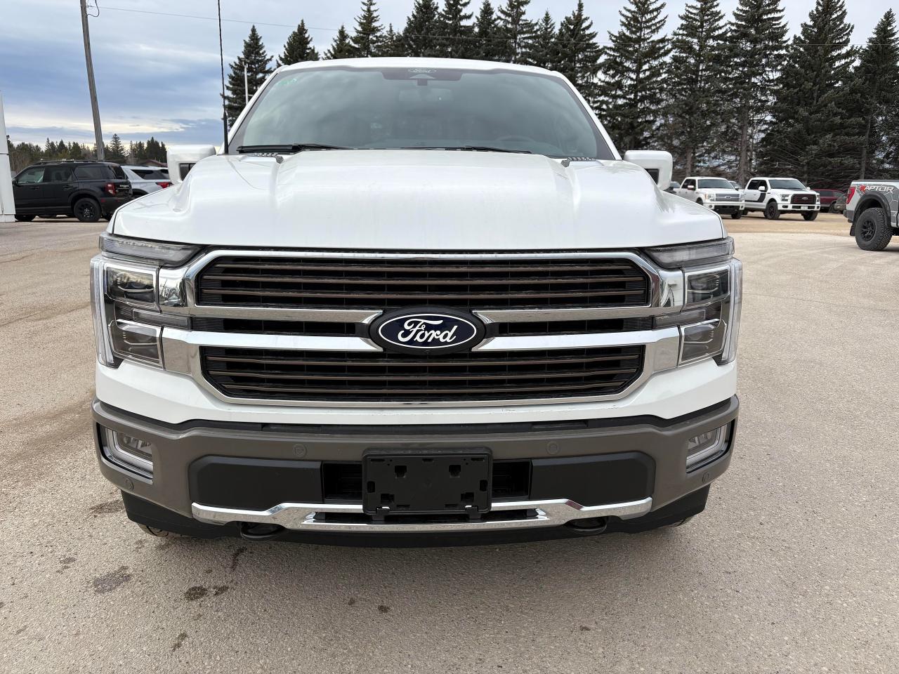 2025 Ford F-150 KING RANCH 4WD SUPERCREW 5.5' BOX Photo2