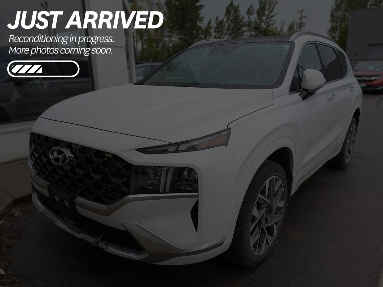 Used 2023 Hyundai Santa Fe Ultimate Calligraphy $309 BI-WEEKLY - NO REPORTED ACCIDENTS, LOW MILEAGE, SMOKE-FREE, ONE OWNER for sale in Cranbrook, BC