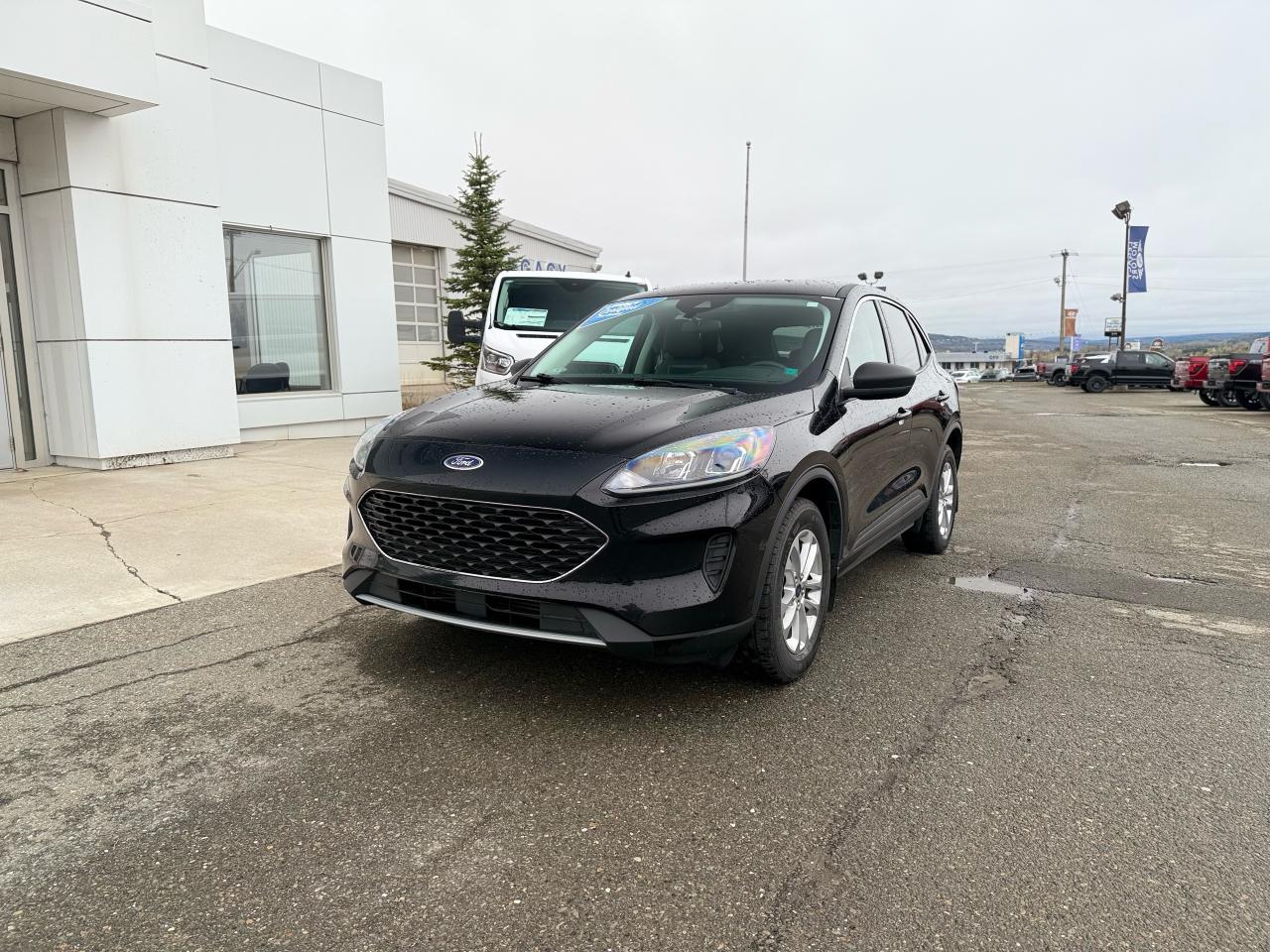 Used 2022 Ford Escape  for sale in Woodstock, NB
