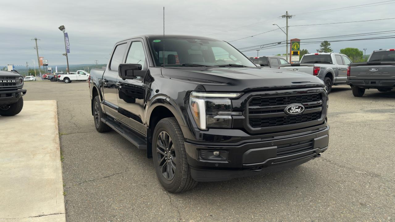 2025 Ford F-150  Photo