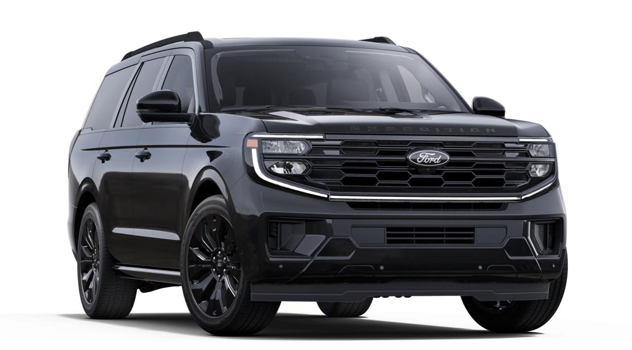 2025 Ford Expedition  Photo3