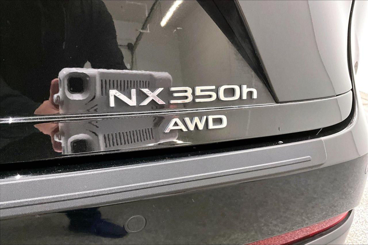 12538741