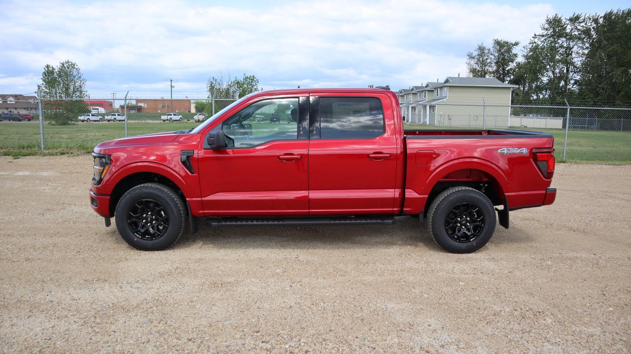2025 Ford F-150 XLT Photo