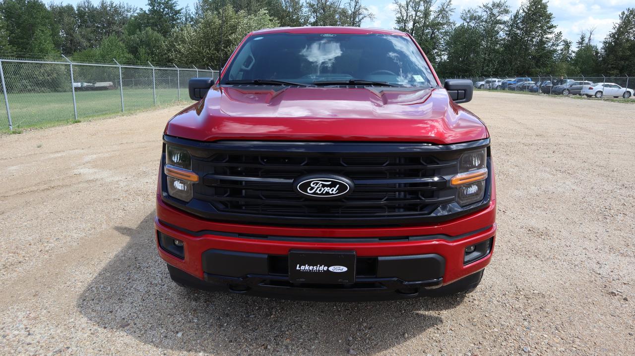 2025 Ford F-150 XLT Photo