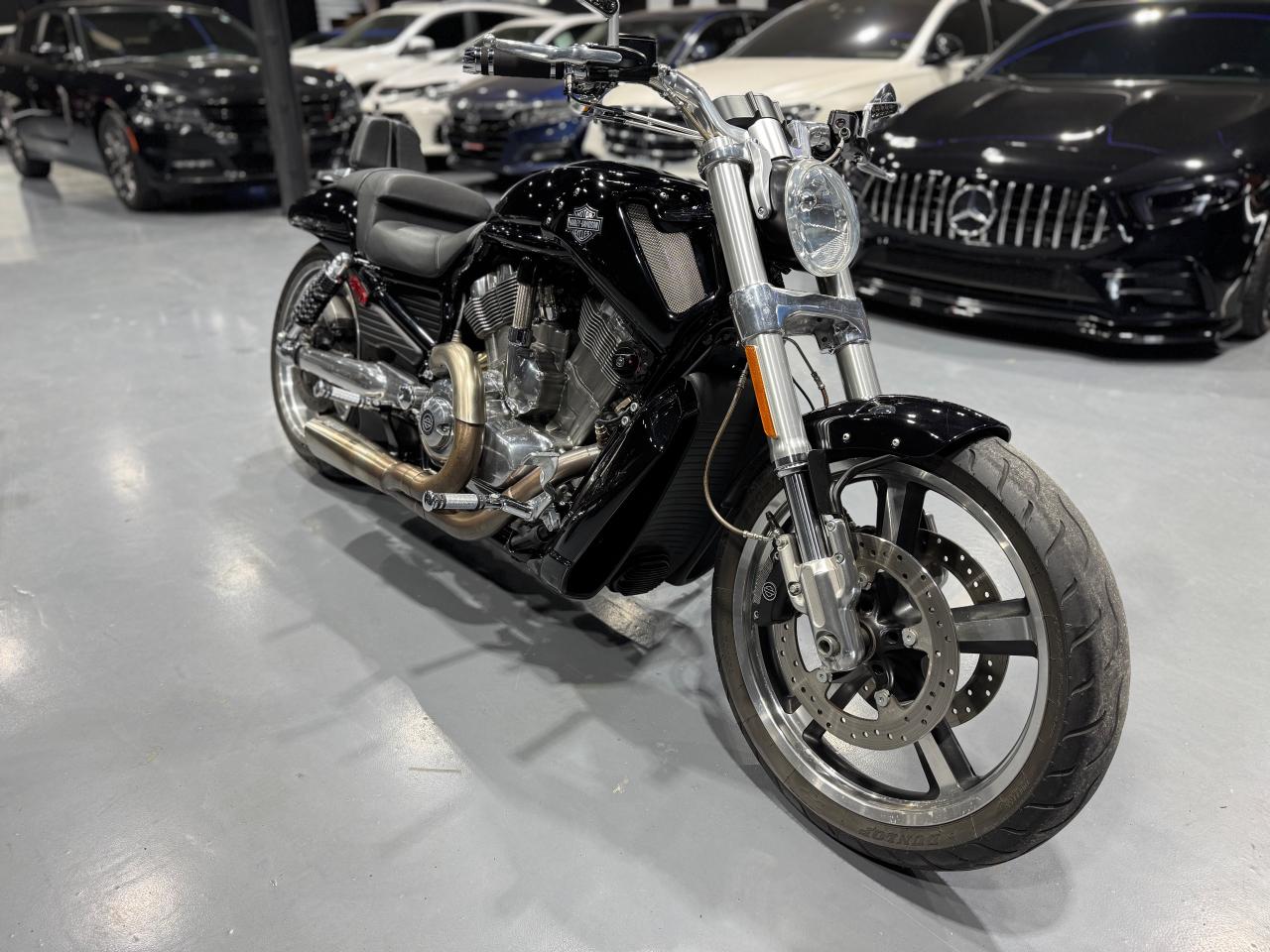 2010 Harley-Davidson V-Rod V-ROD MUSCLE - Photo #3