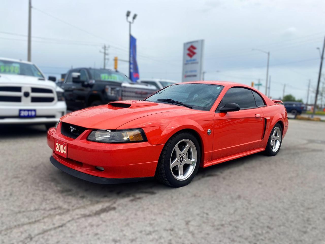 Used 2004 Ford Mustang GT ~MACH Audio ~Bluetooth ~Alloys ~Leather ~A/C for sale in Barrie, ON