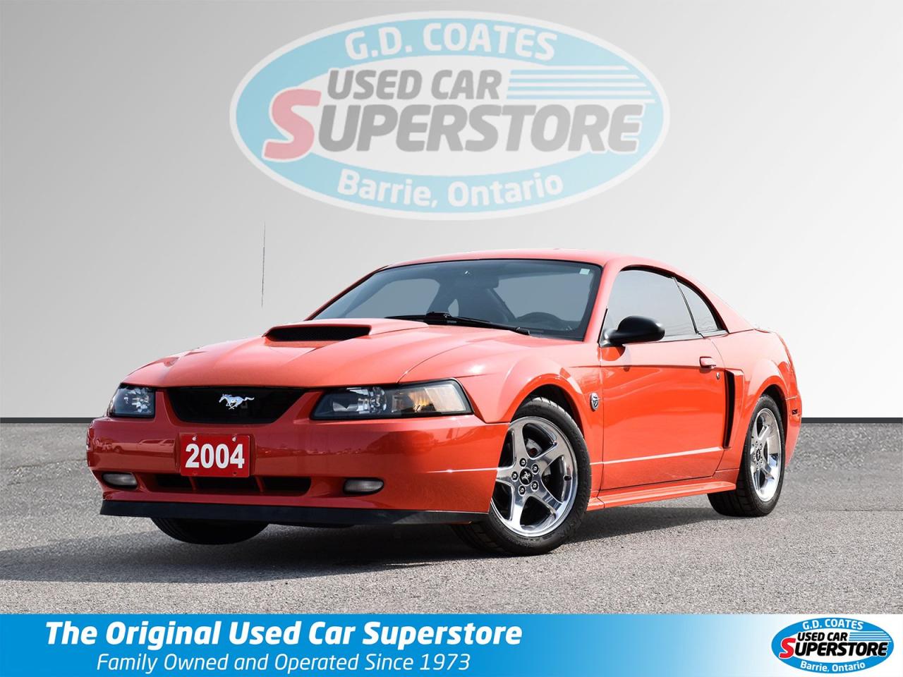 Used 2004 Ford Mustang GT ~MACH Audio ~Bluetooth ~Alloys ~Leather ~A/C for sale in Barrie, ON