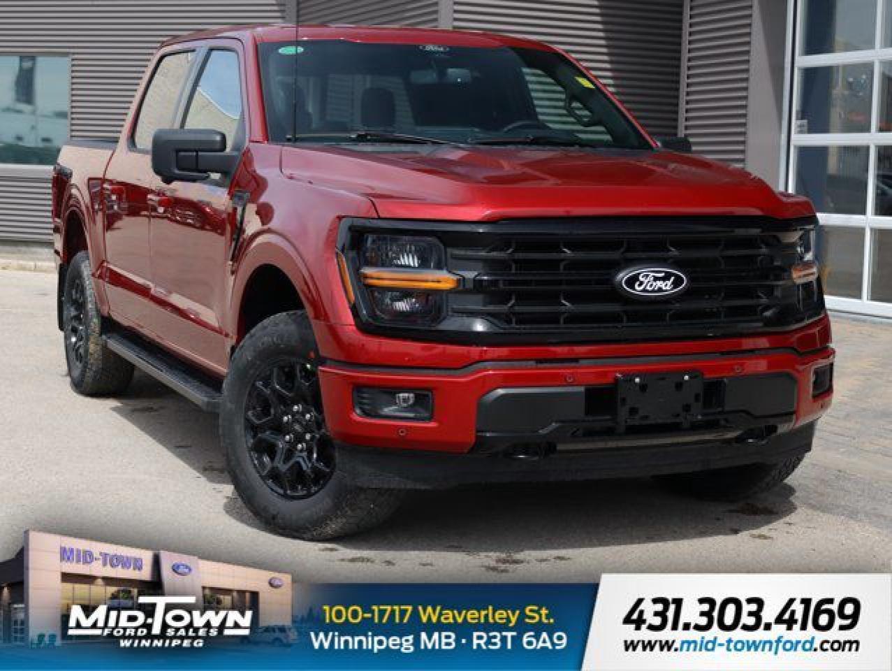 New 2025 Ford F-150 XLT | Pro Trailer Controls | 360 Camera for sale in Winnipeg, MB